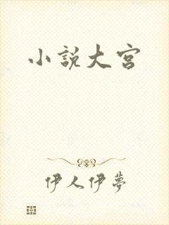 小说大宫