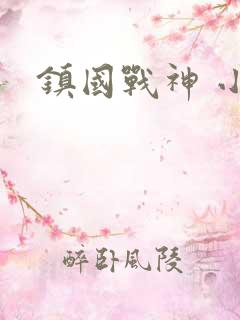 镇国战神 小说