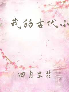 我的古代小夫侍