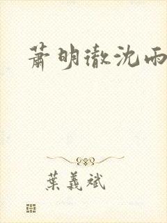 萧明彻沈雨燃