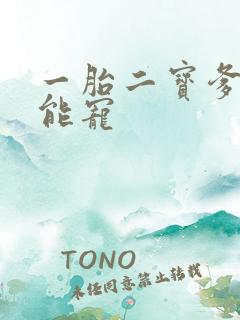 一胎二宝爹地超能宠