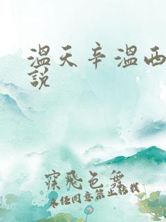 温天辛温西离小说