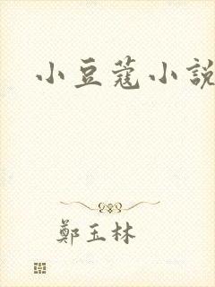 小豆蔻小说