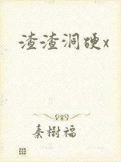 渣渣洞硬x