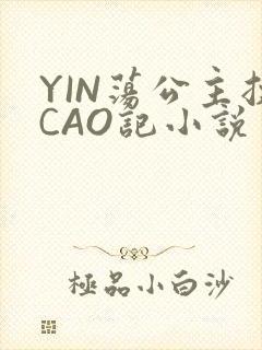 YIN荡公主挨CAO记小说