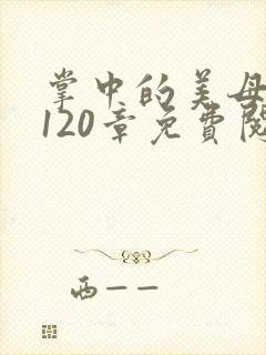 掌中的美母版主120章免费阅读