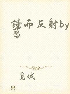 镜面反射by九葛