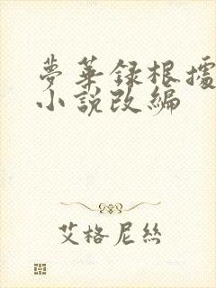 梦华录根据什么小说改编