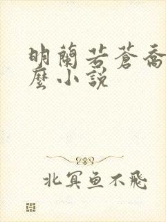 明兰若苍乔是什么小说