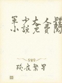 军少大人体力好小说免费阅读