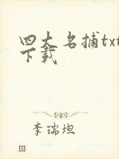 四大名捕txt下载