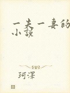 一夫一妻的玄幻小说
