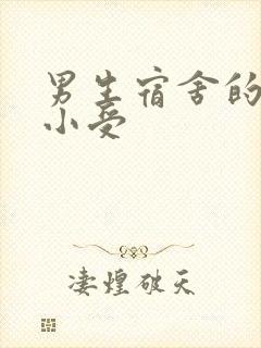 男生宿舍的公共小受