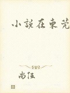 小说在东莞