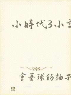 小时代3小说