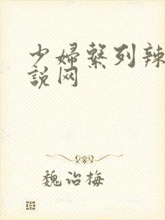 少妇系列辣文小说网