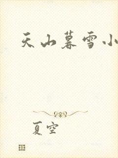 天山暮雪小说