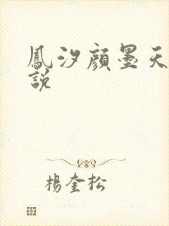 凤汐颜墨天问小说