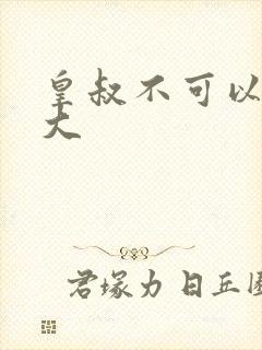 皇叔不可以 太大