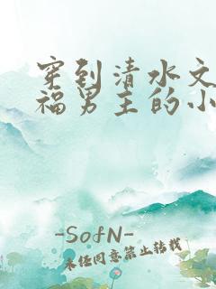 穿到清水文里造福男主的小说