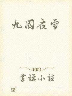 九国夜雪