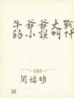 牛爷爷大战小丽的小说叫什么