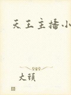 天王主播小说