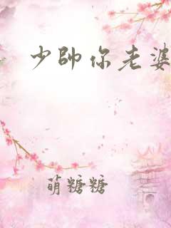 少帅你老婆