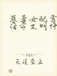 恶毒女配靠JY活命又叫什么