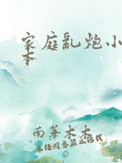 家庭乱炮小说全本