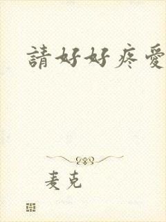 请好好疼爱里面