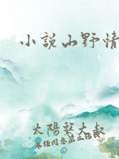 小说山野情债