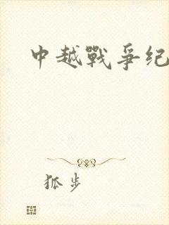 中越战争纪实录