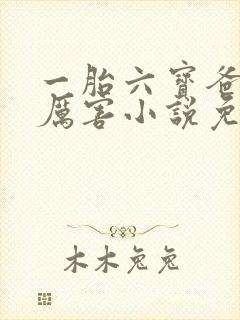 一胎六宝爸比好厉害小说免费阅读