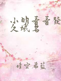 小明看看发布永久域名