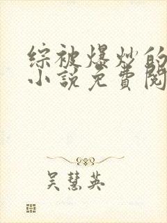 综被爆炒的日常小说免费阅读