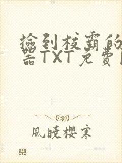 捡到校霸的遥控器TXT免费阅读