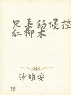 兄长的侵控by红柳木