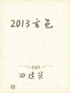2013玄色