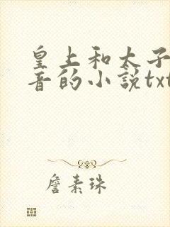 皇上和太子妃沈音的小说txt