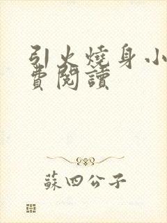 引火烧身小说免费阅读