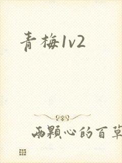 青梅1v2