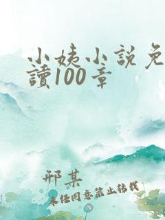 小姨小说免费阅读100章