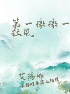 第一微微一笑很拉风