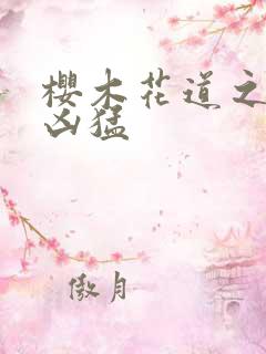 樱木花道之重生凶猛