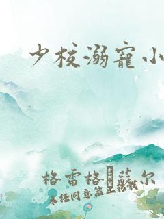 少校溺宠小小妻