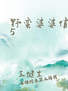 野蛮婆婆俏媳妇5