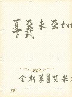 夏至未至txt下载
