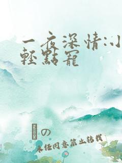 一夜深情:小叔轻点宠