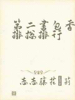 第二书包香辣肉排总排行